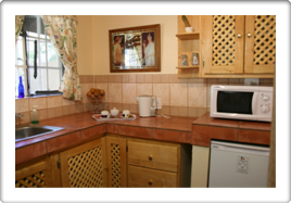 fish_eagle_room_kitchen